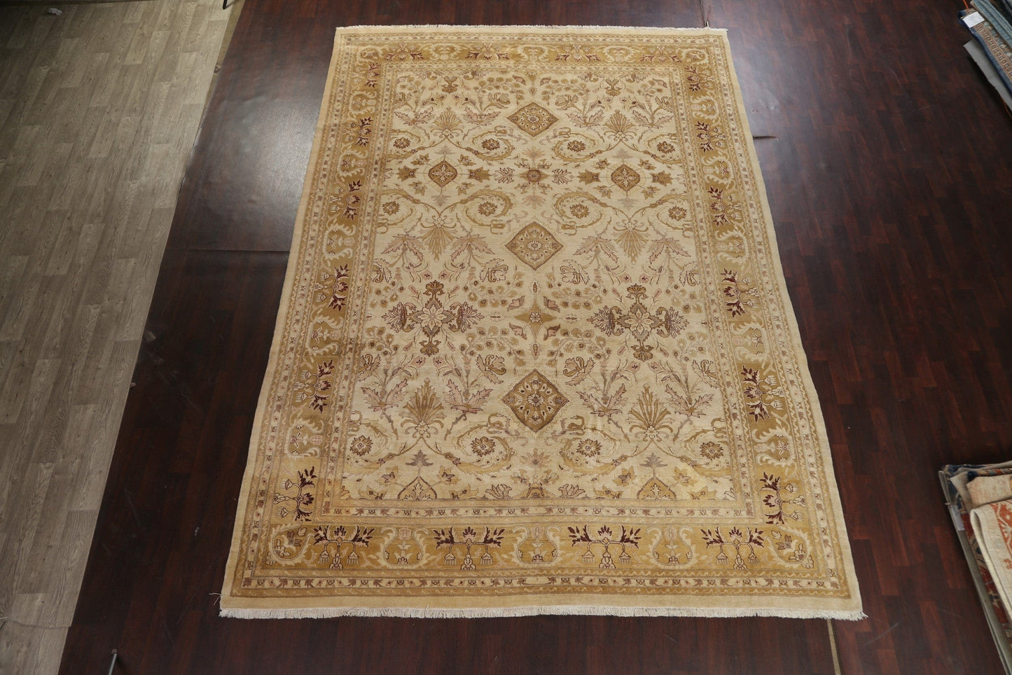 Vegetable Dye Agra Oriental Area Rug 10x14