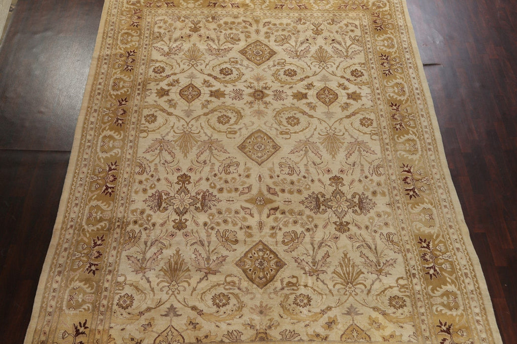 Vegetable Dye Agra Oriental Area Rug 10x14