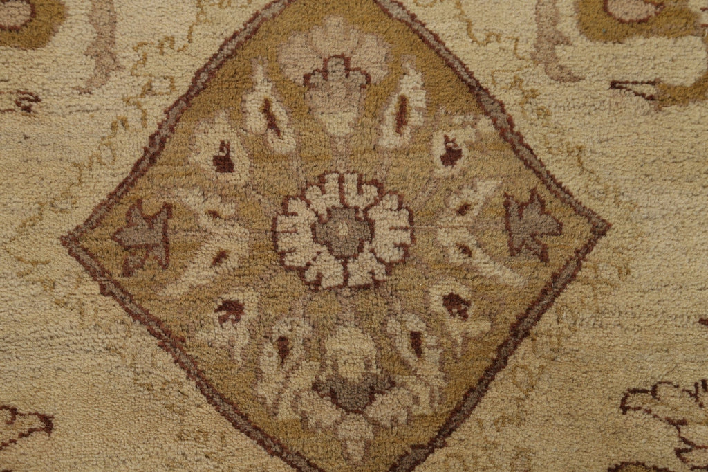 Vegetable Dye Agra Oriental Area Rug 10x14