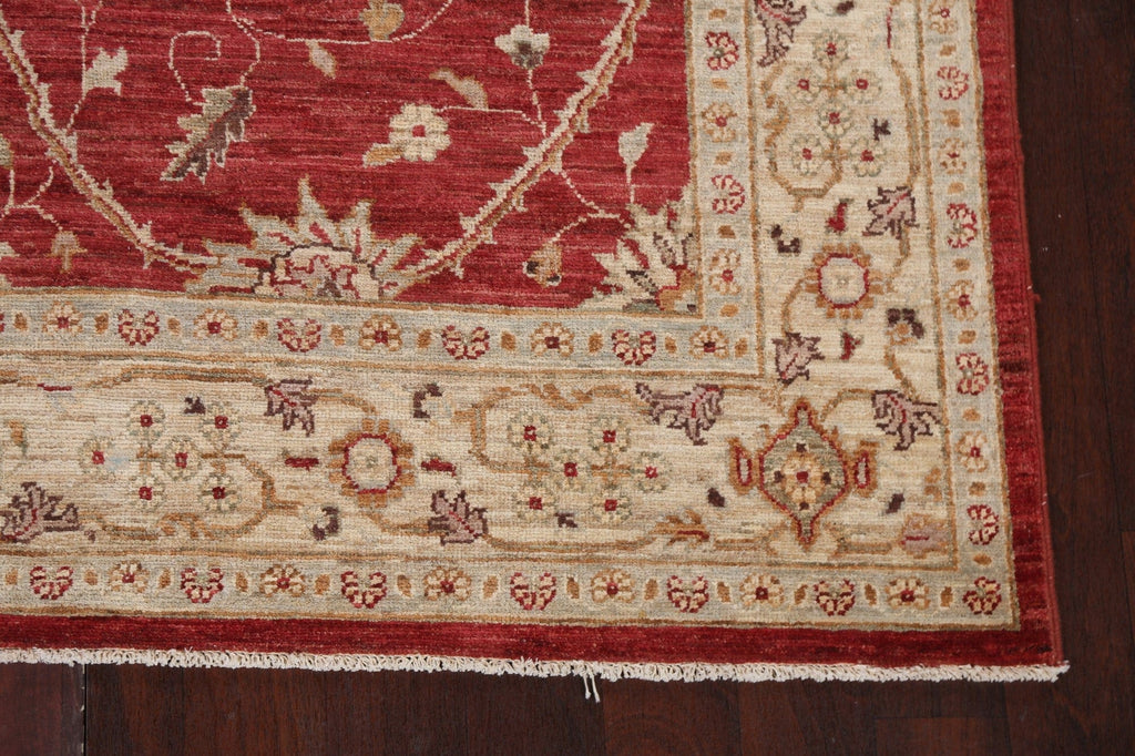 Vegetable Dye Chobi Peshawar Handmade Oriental Rug 7x10