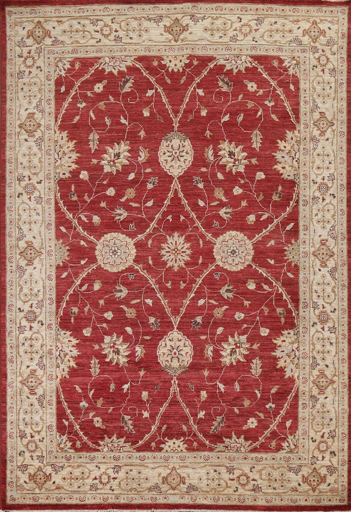 Vegetable Dye Chobi Peshawar Handmade Oriental Rug 7x10