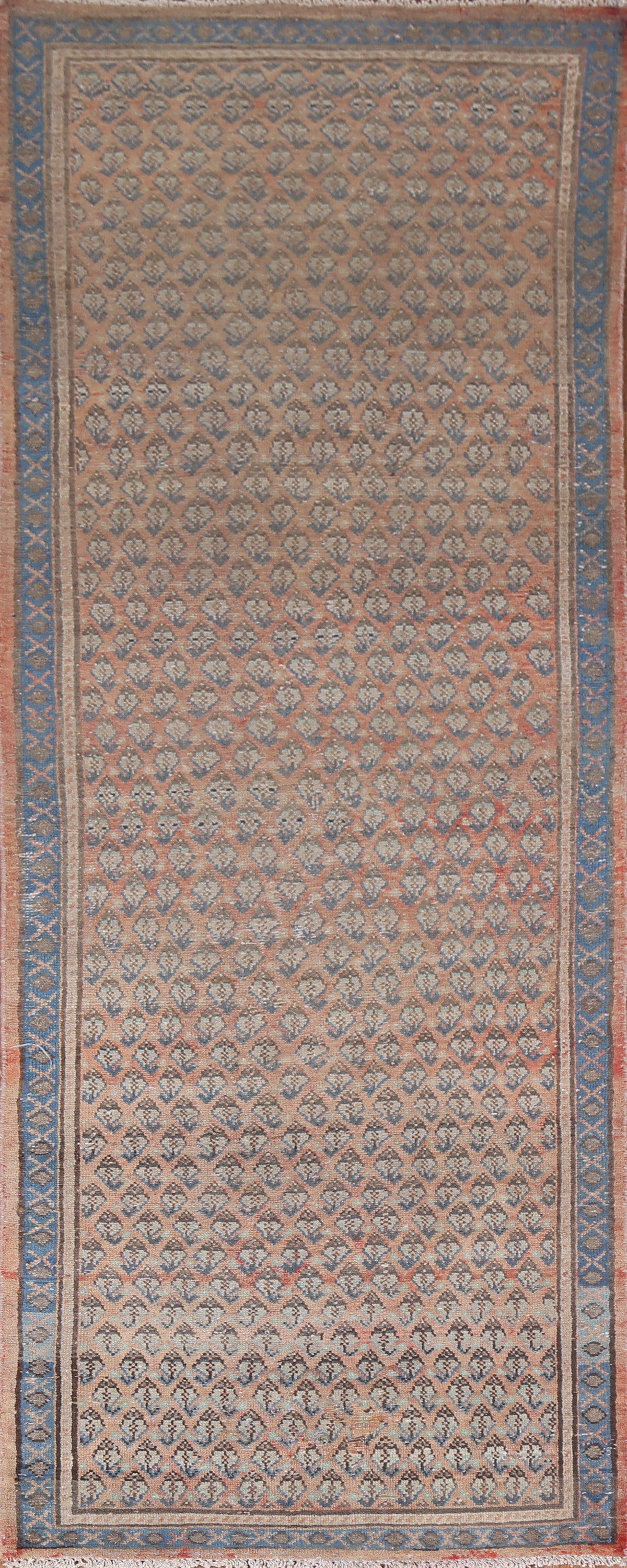 Geometric Botemir Persian Runner Rug 3x10