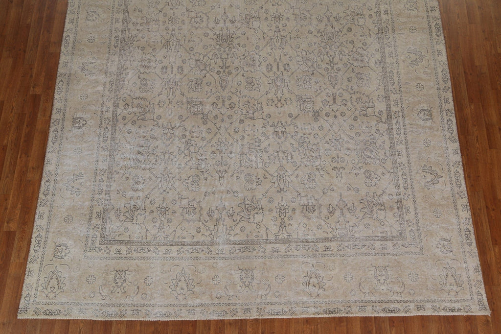 Muted All-Over Tabriz Persian Area Rug 9x14