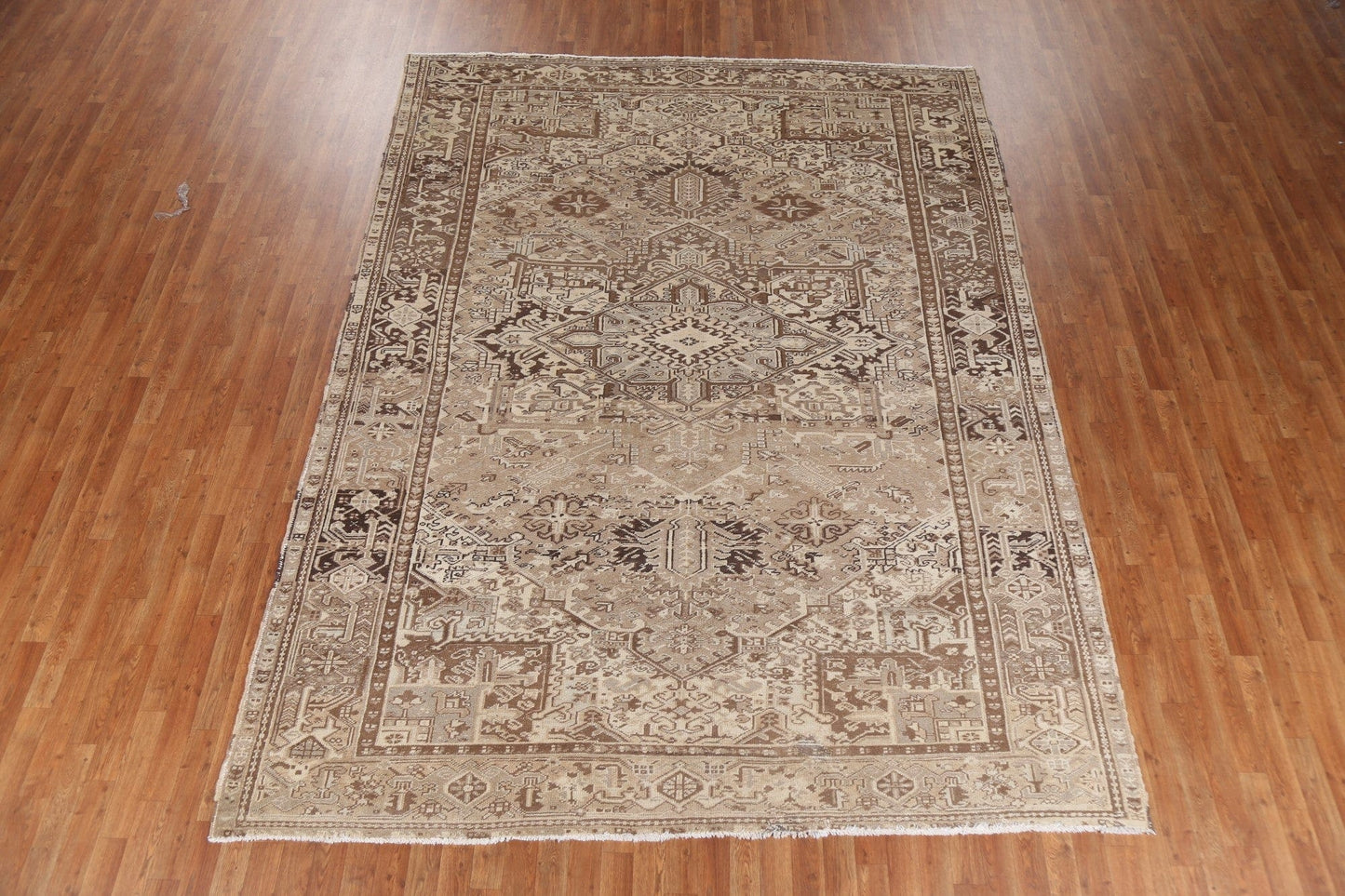 Geometric Wool Heriz Persian Area Rug 8x11