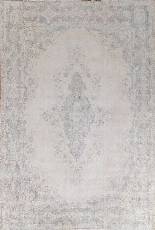 Muted Kerman Persian Area Rug 10x12