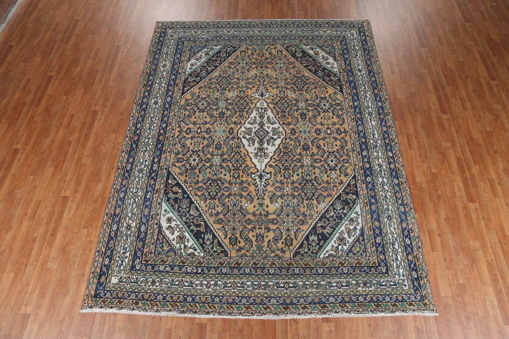 Geometric Wool Hamedan Persian Area Rug 9x11