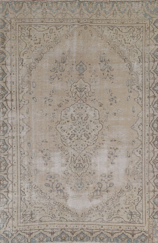 Distressed Wool Kerman Persian Area Rug 6x9