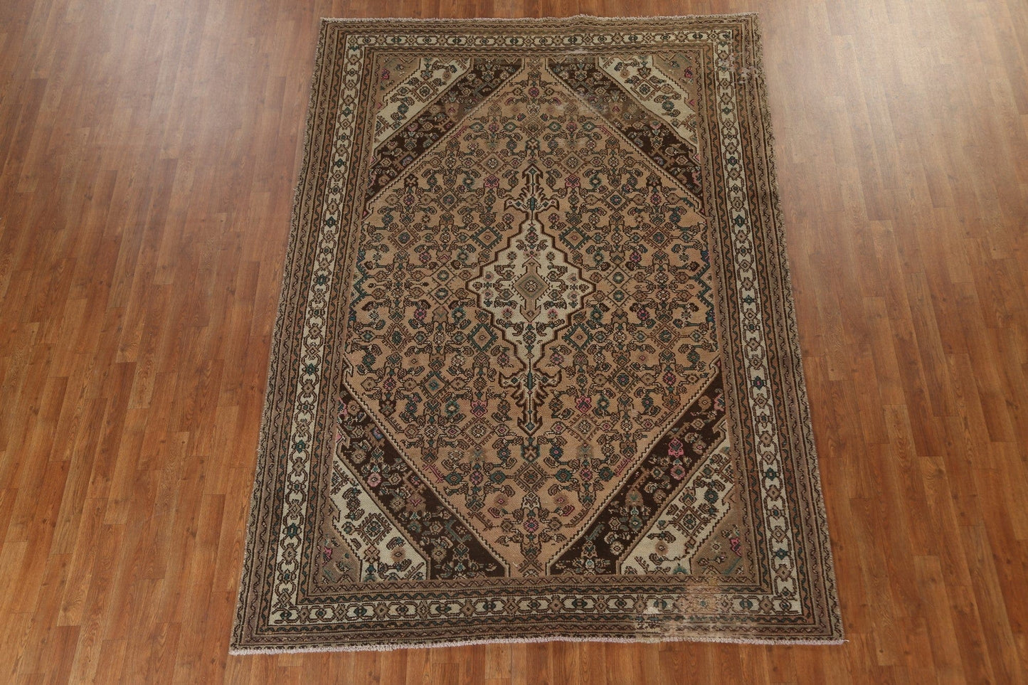 Geometric Hamedan Persian Area Rug 6x9