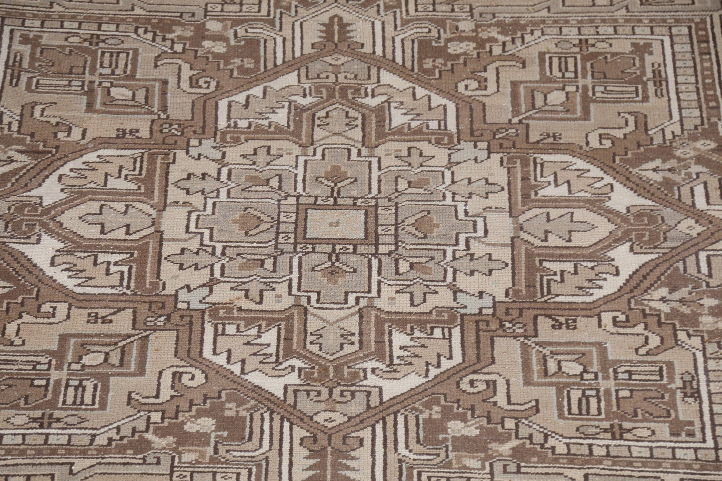 Geometric Heriz Persian Area Rug 9x12