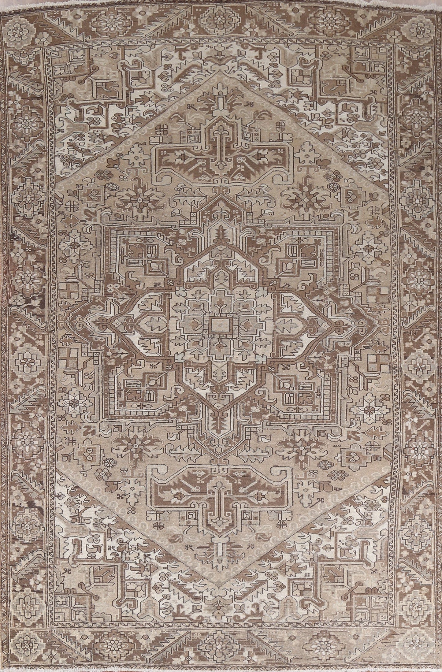 Geometric Heriz Persian Area Rug 9x12