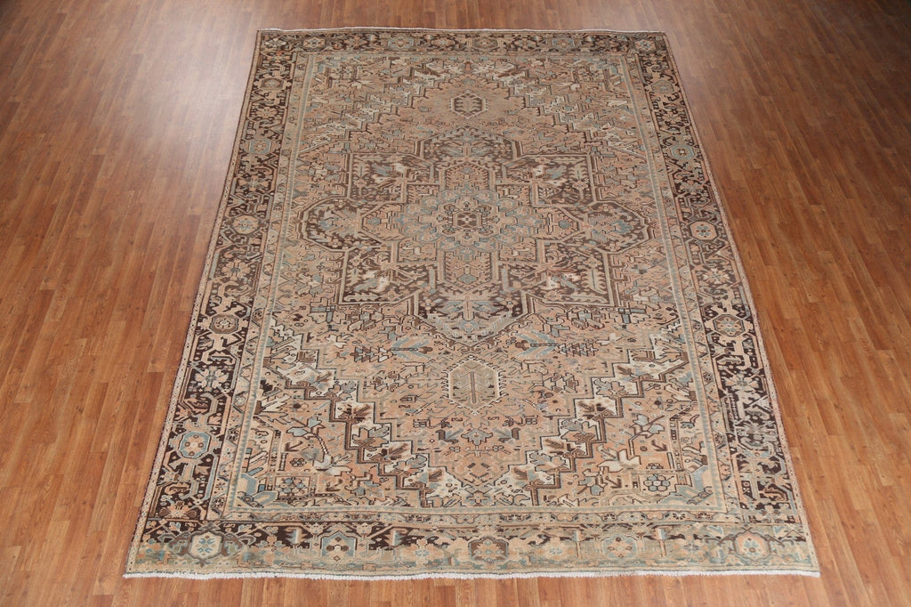 Vintage Vegetable Dye Heriz Persian Area Rug 9x12