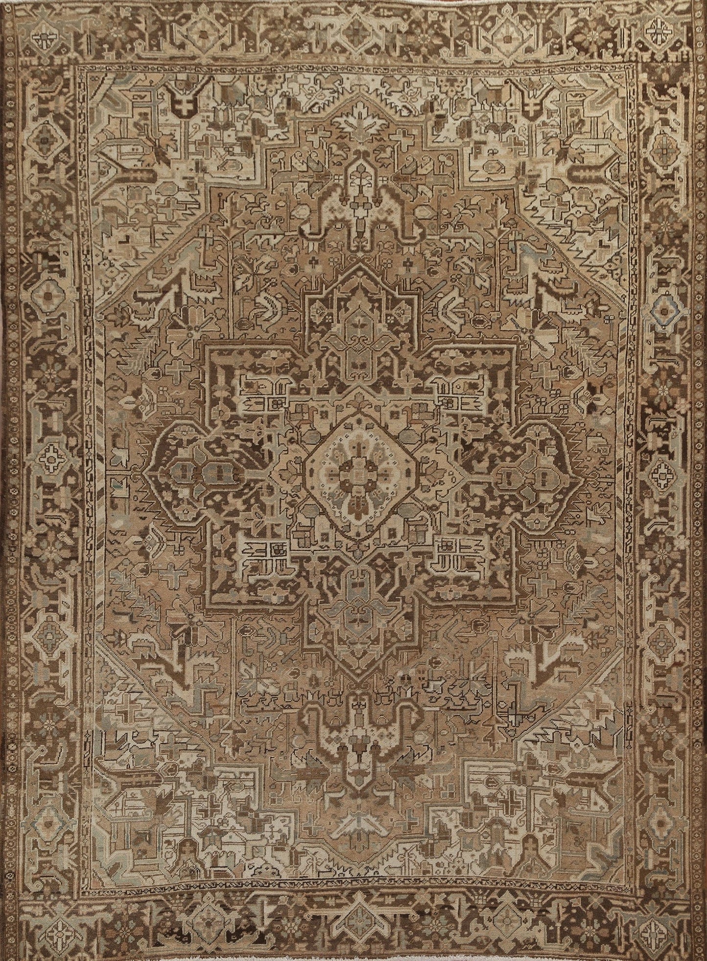 Geometric Heriz Persian Area Rug 9x11