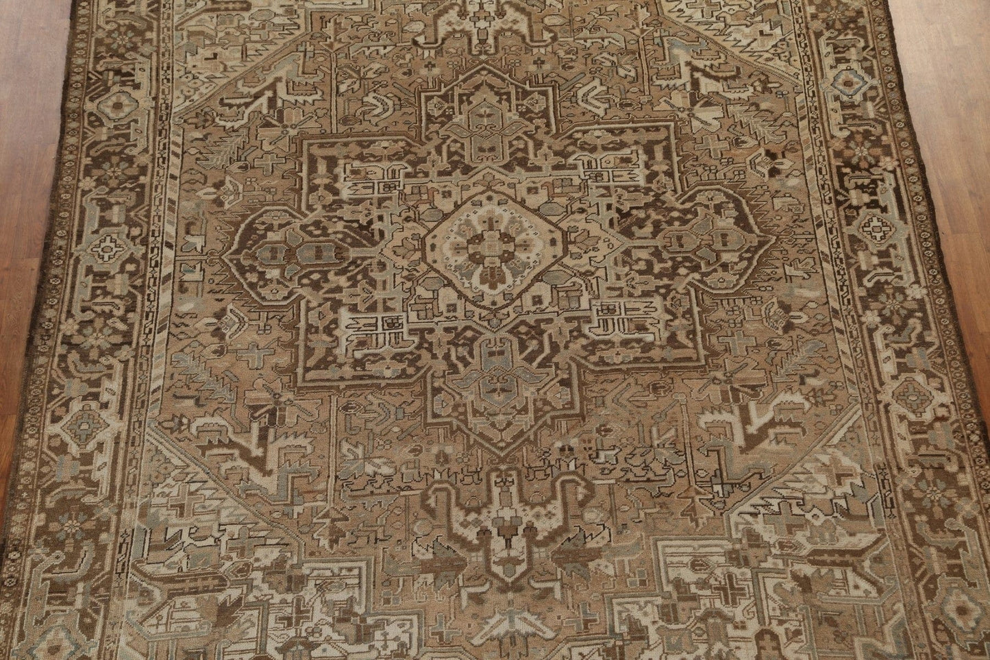 Geometric Heriz Persian Area Rug 9x11