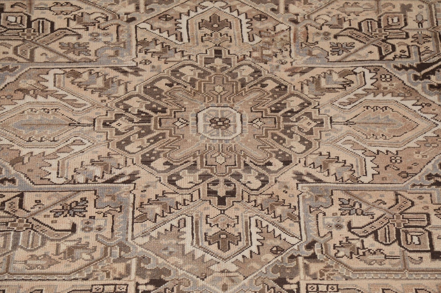 Geometric Heriz Persian Area Rug 10x13