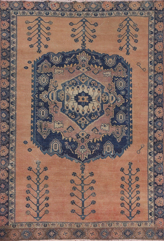 Handmade Wool Sirjan Persian Area Rug 5x6