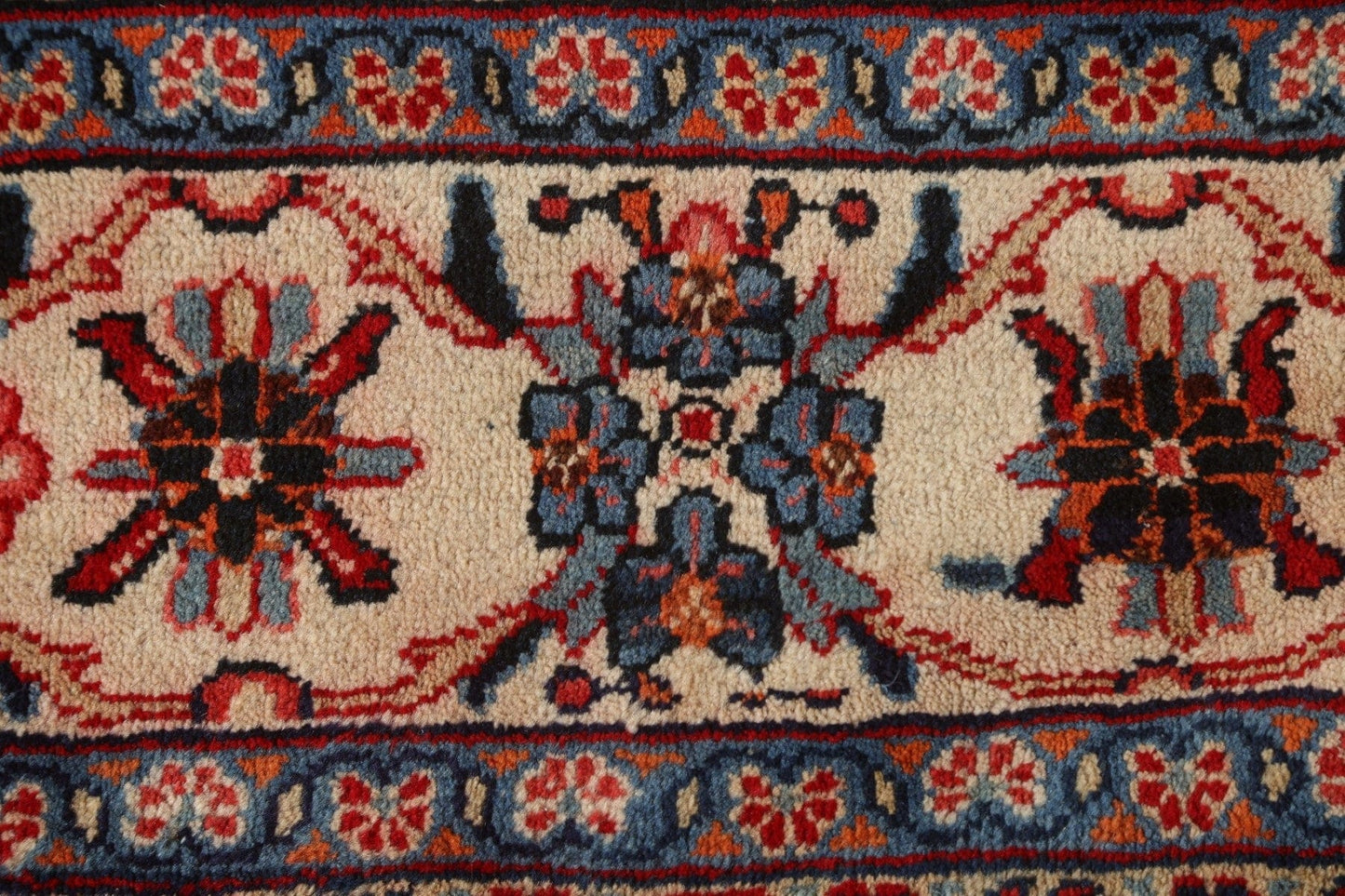 Vegetable Dye Red Sarouk Persian Area Rug 9x12