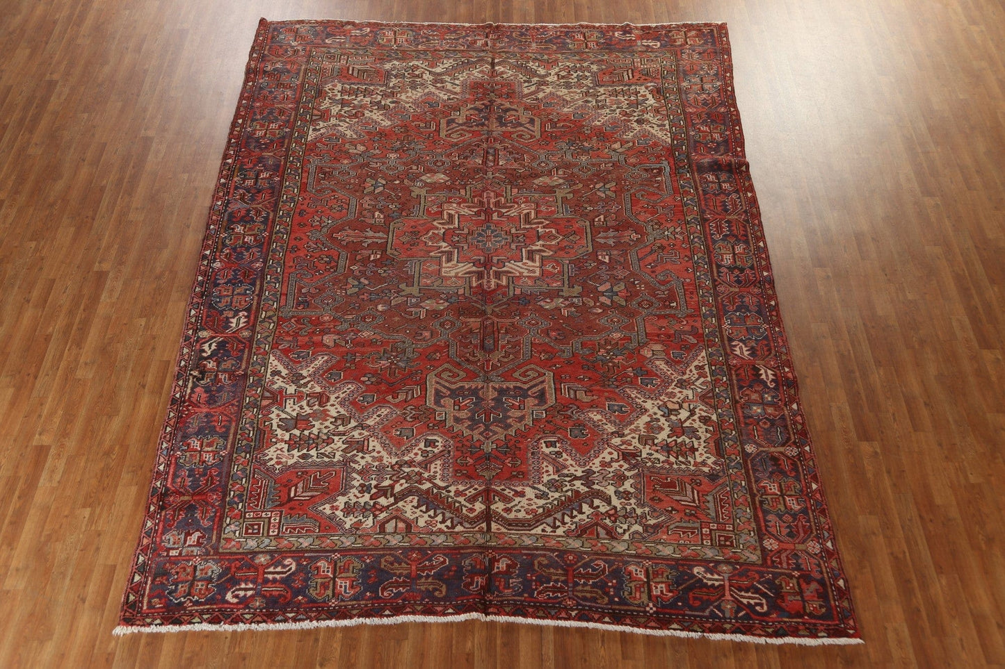 Geometric Heriz Persian Area Rug 9x13