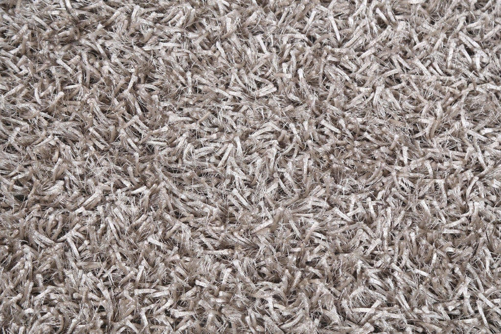 Champagne Contemporary Shaggy Oriental Area Rug 3x5