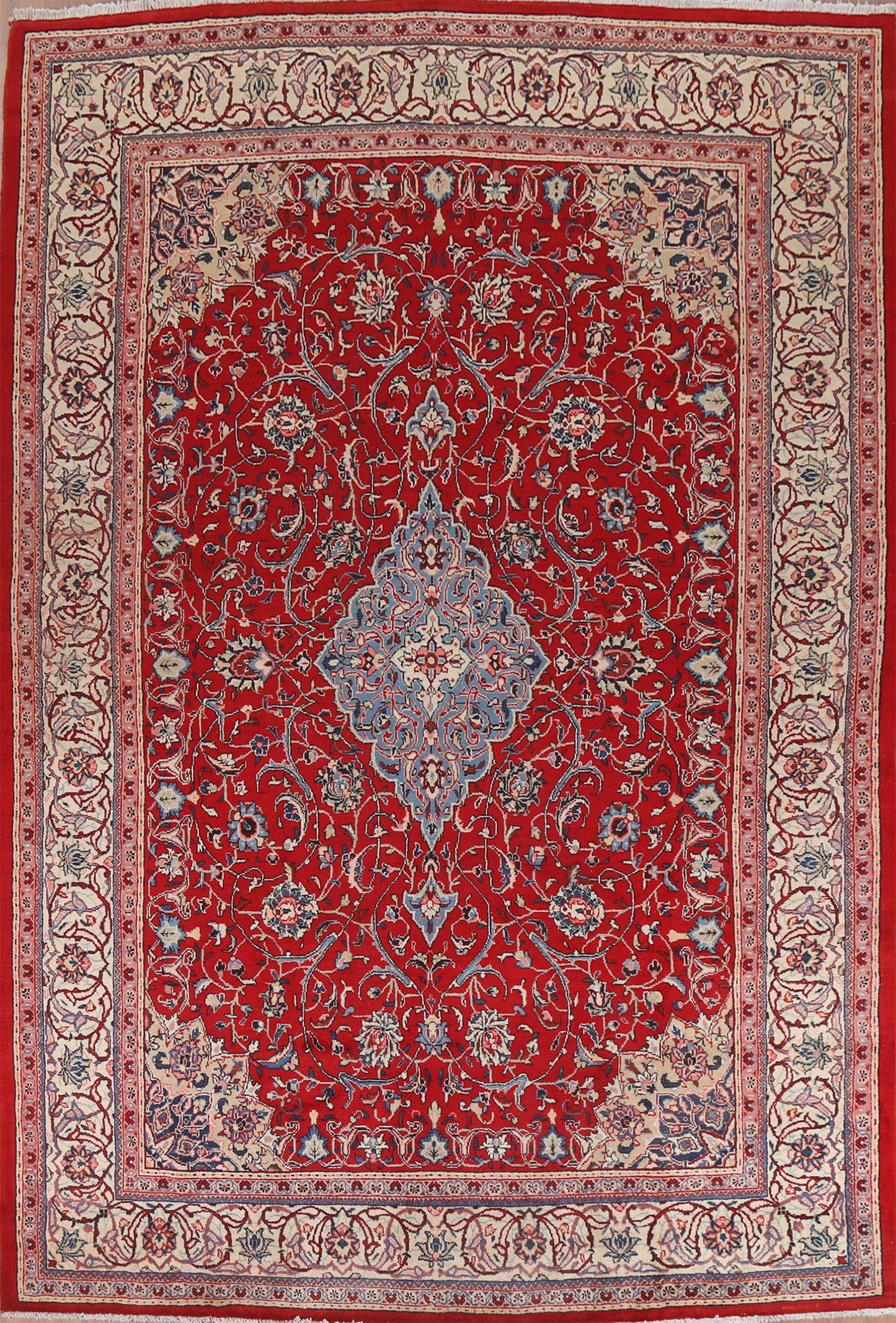 Floral Red Sarouk Persian Area Rug 9x12