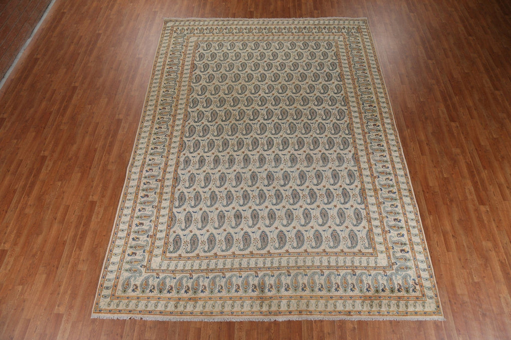 All-Over Paisley Mood Persian Area Rug 9x12