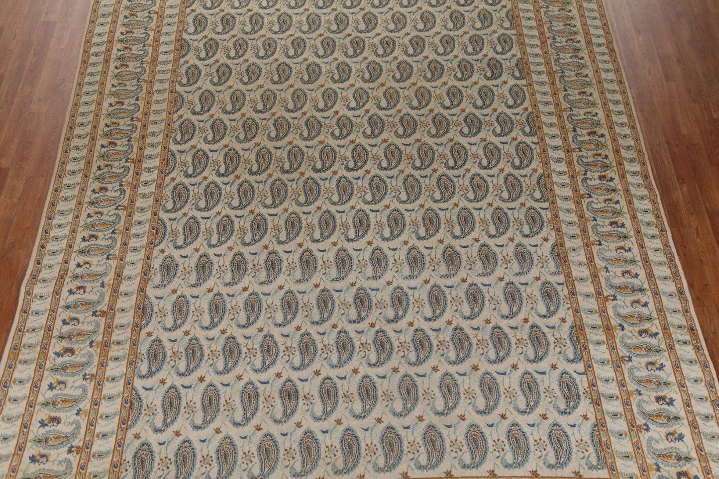 All-Over Paisley Mood Persian Area Rug 9x12