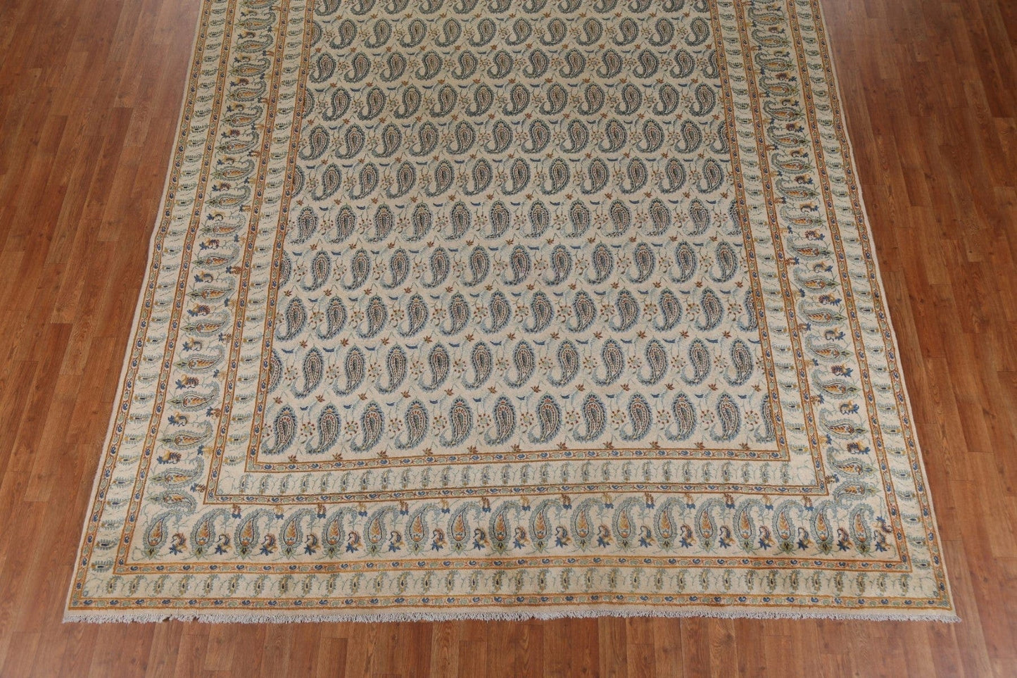 All-Over Paisley Mood Persian Area Rug 9x12