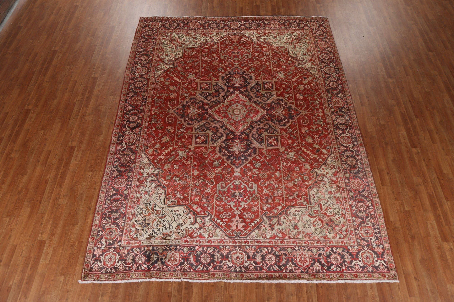 Vegetable Dye Wool Red Heriz Persian Area Rug 9x11