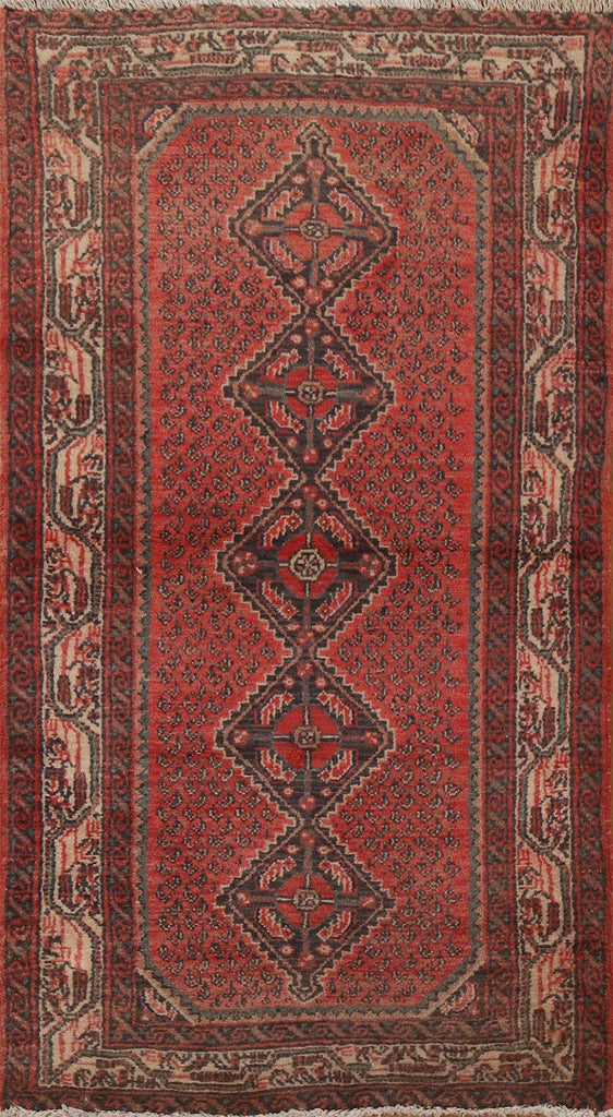 Geometric Hamedan Persian Area Rug 3x5