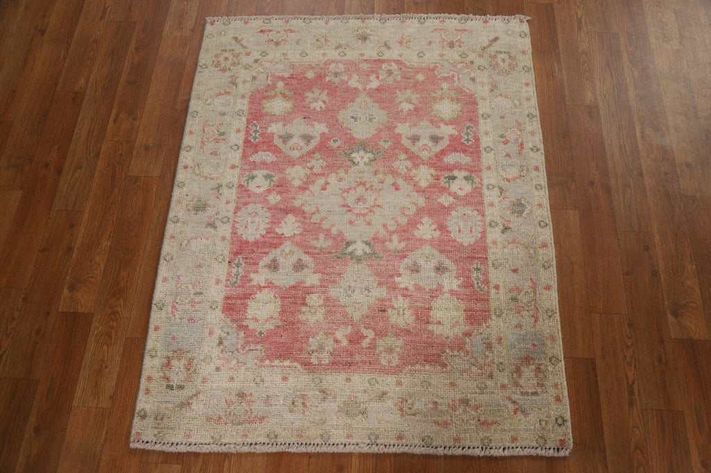 Geometric Oushak Oriental Area Rug 3x4