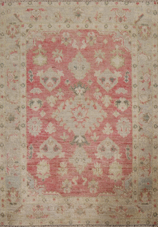 Geometric Oushak Oriental Area Rug 3x4