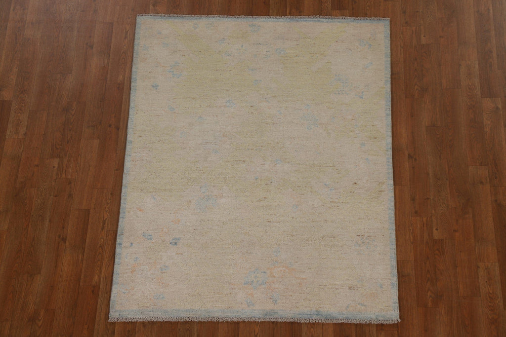 Muted Geometric Art Deco Oriental Area Rug 4x5