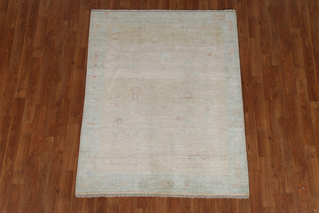 Muted Art Deco Oriental Area Rug 4x5