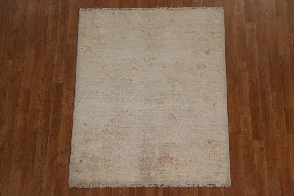 Vegetable Dye Art Deco Oriental Area Rug 4x5