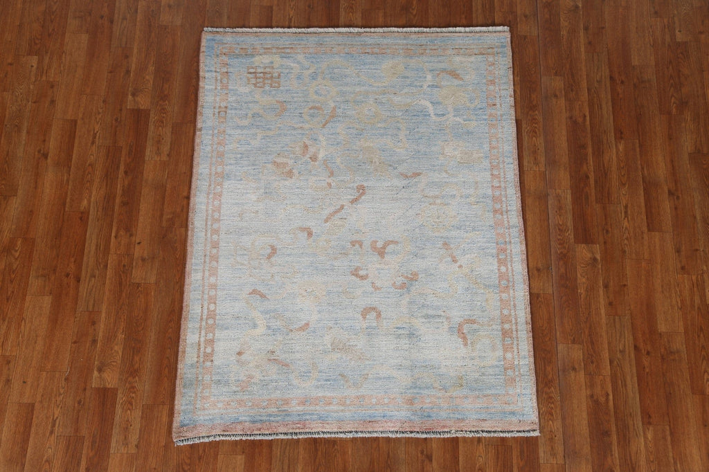 Vegetable Dye Art Deco Oriental Area Rug 4x5