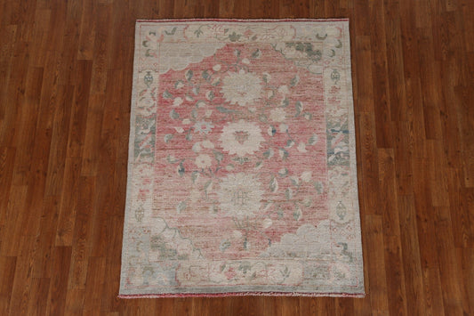 Vegetable Dye Art Deco Oriental Area Rug 4x5