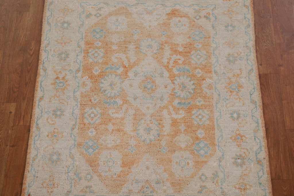 Vegetable Dye Art Deco Oriental Area Rug 4x5