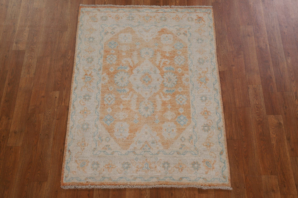 Vegetable Dye Art Deco Oriental Area Rug 4x5