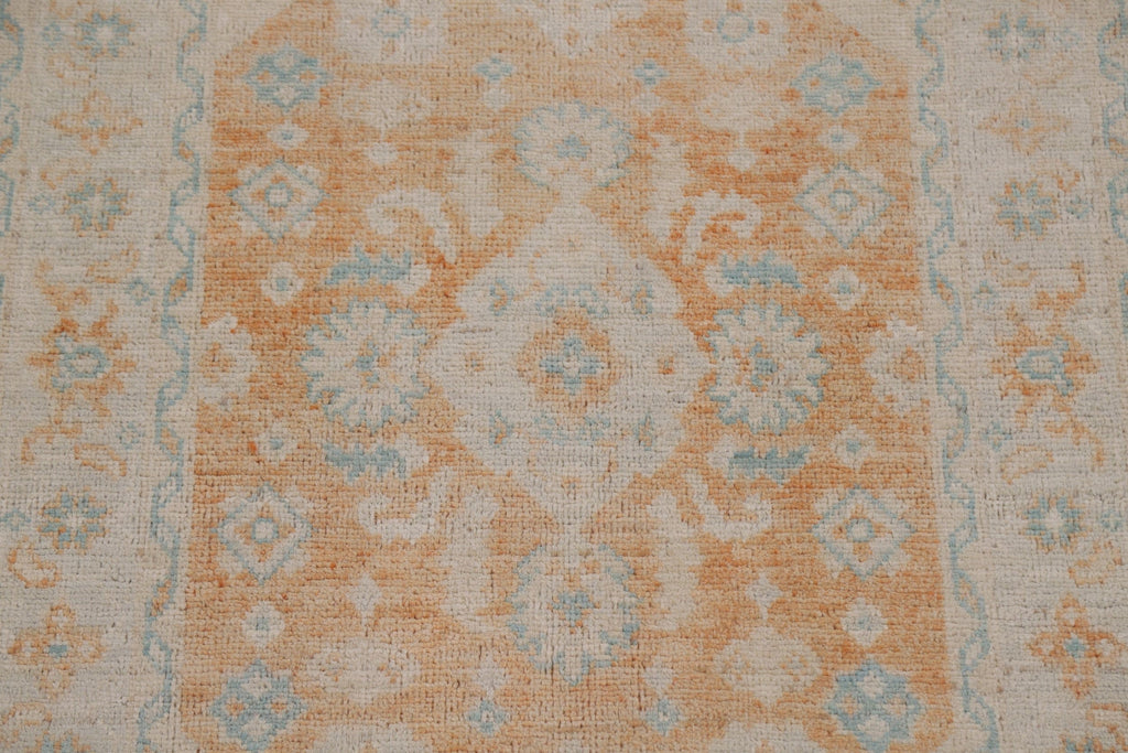 Vegetable Dye Art Deco Oriental Area Rug 4x5