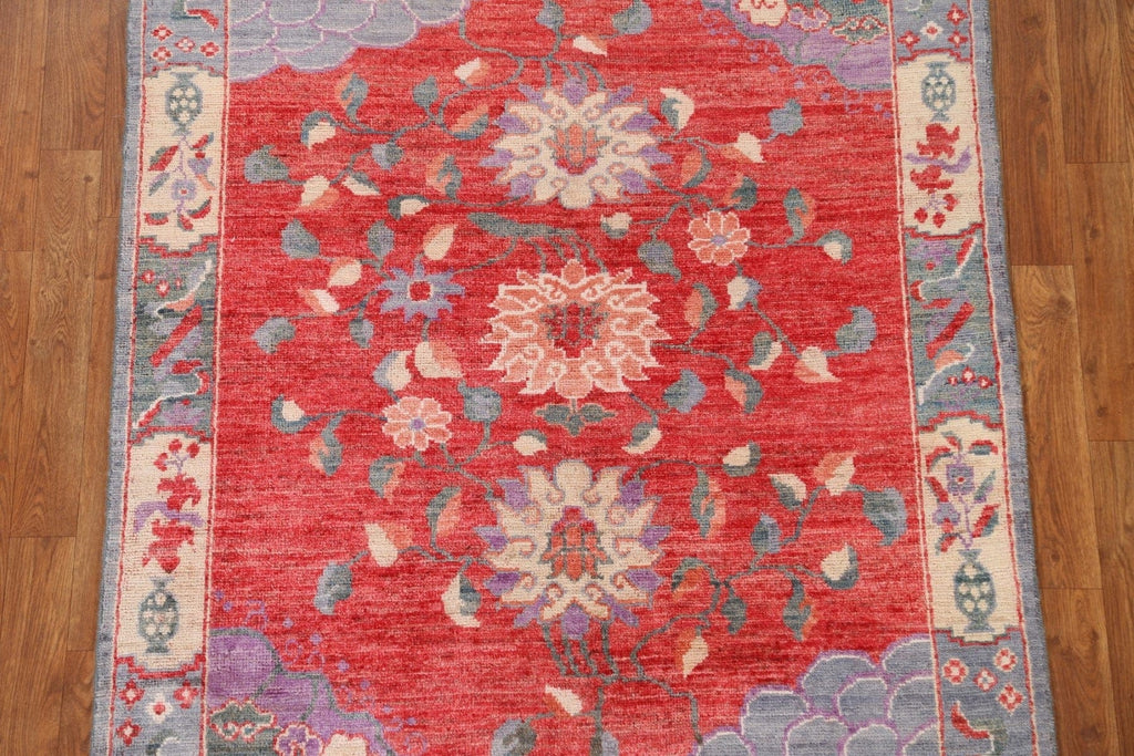 Vegetable Dye Art Deco Oriental Area Rug 4x5