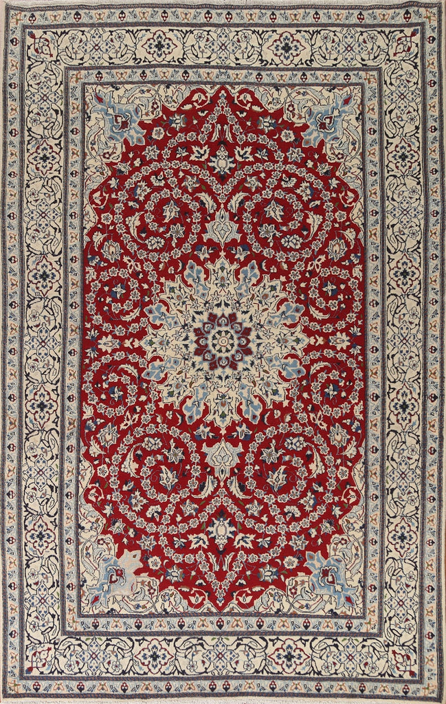 Nain Persian Area Rug 7x9