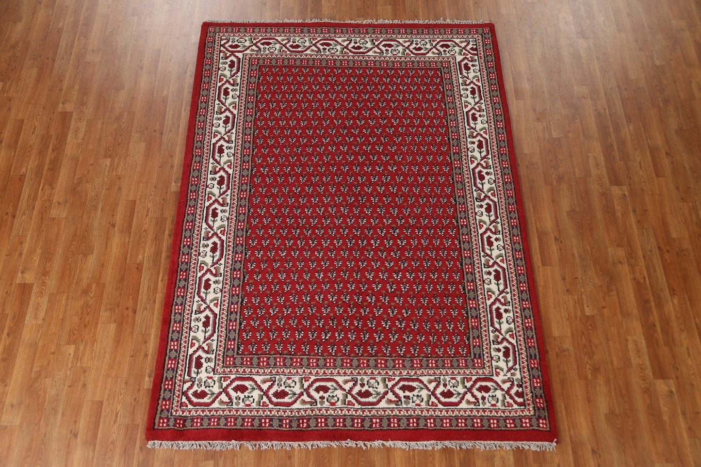 Red Boteh Botemir Oriental Area Rug 6x8