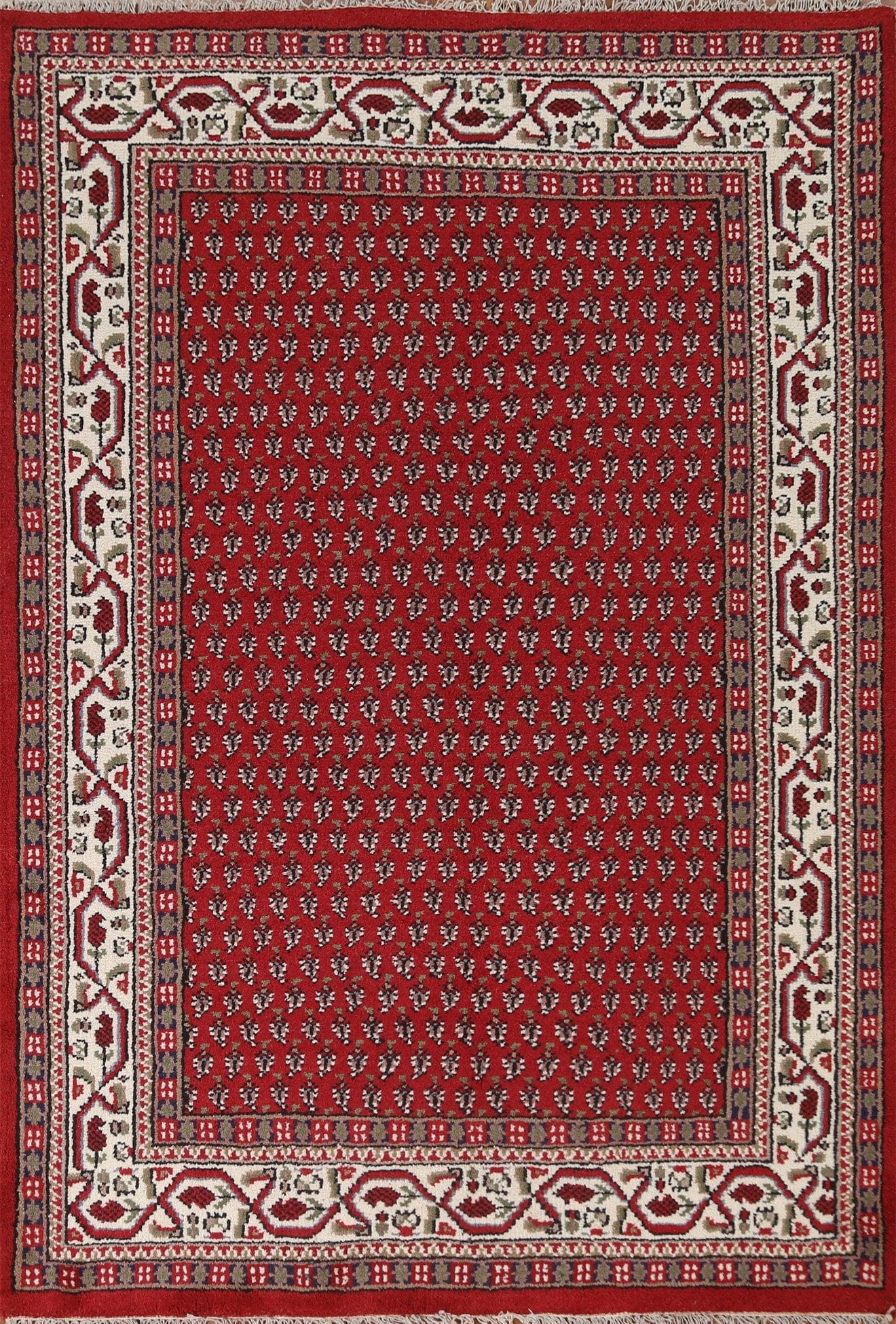 Red Boteh Botemir Oriental Area Rug 6x8