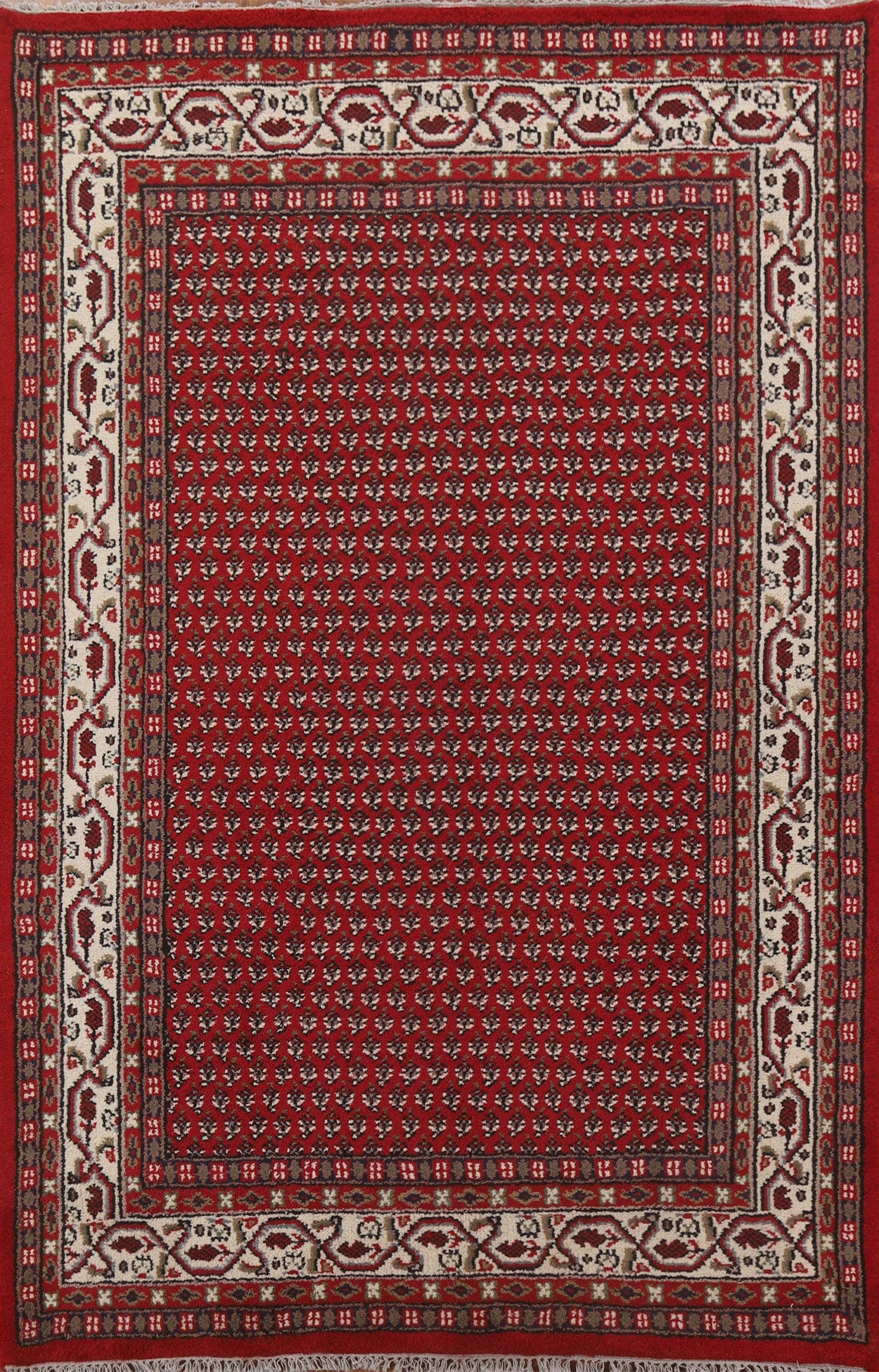 Boteh Botemir Oriental Area Rug 7x10