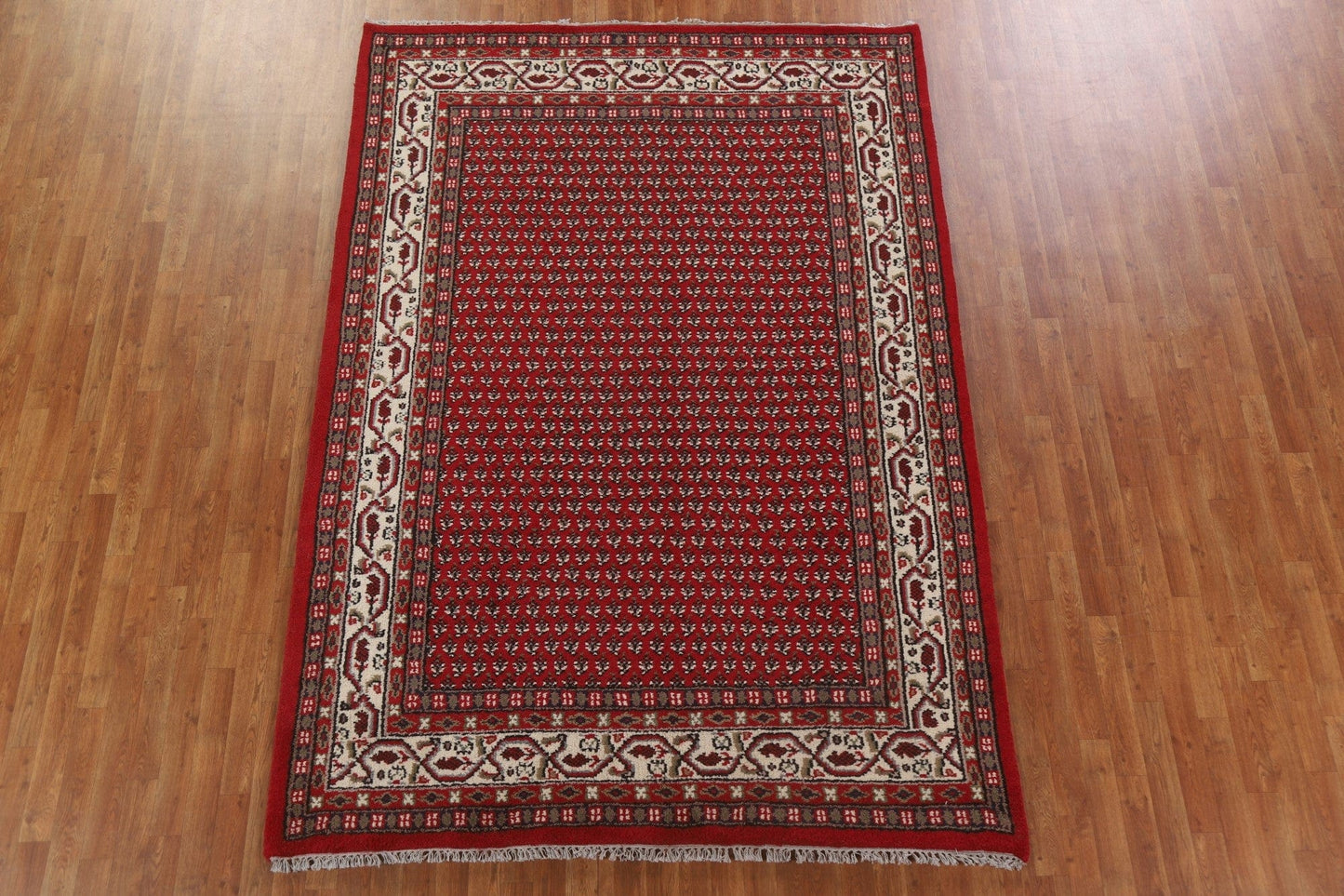 Boteh Botemir Oriental Area Rug 7x10