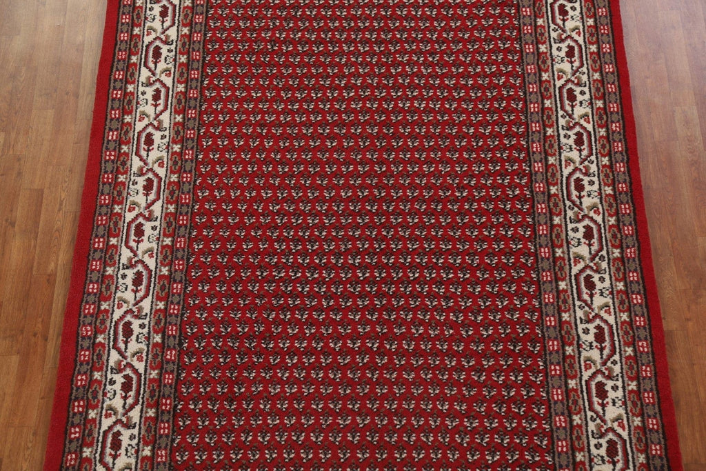 Boteh Botemir Oriental Area Rug 7x10