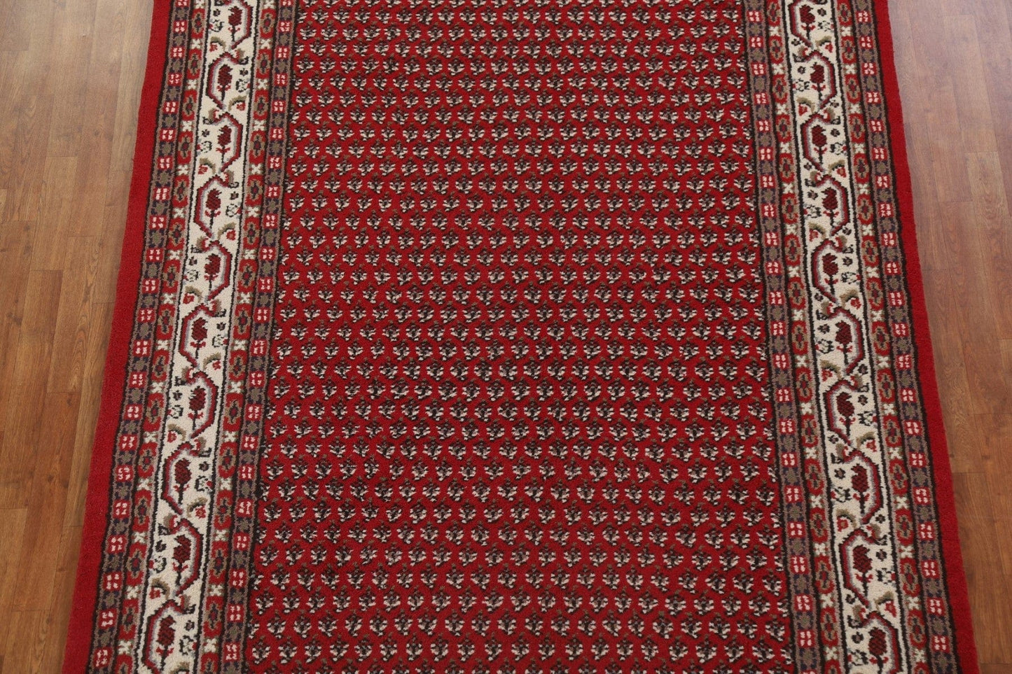 Boteh Botemir Oriental Area Rug 7x10