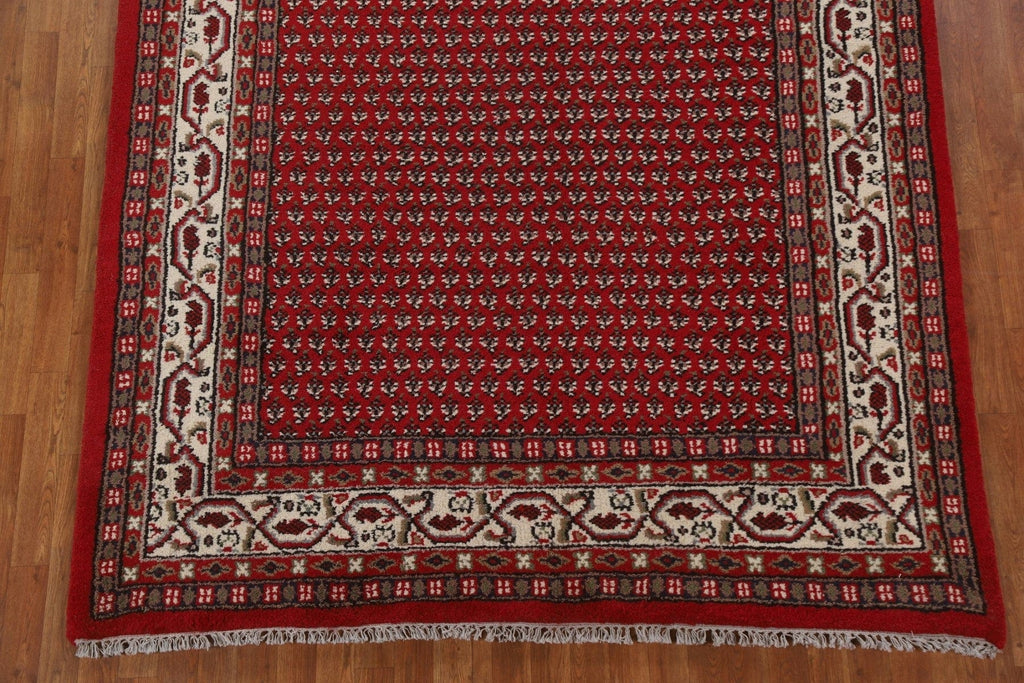 Boteh Botemir Oriental Area Rug 7x10