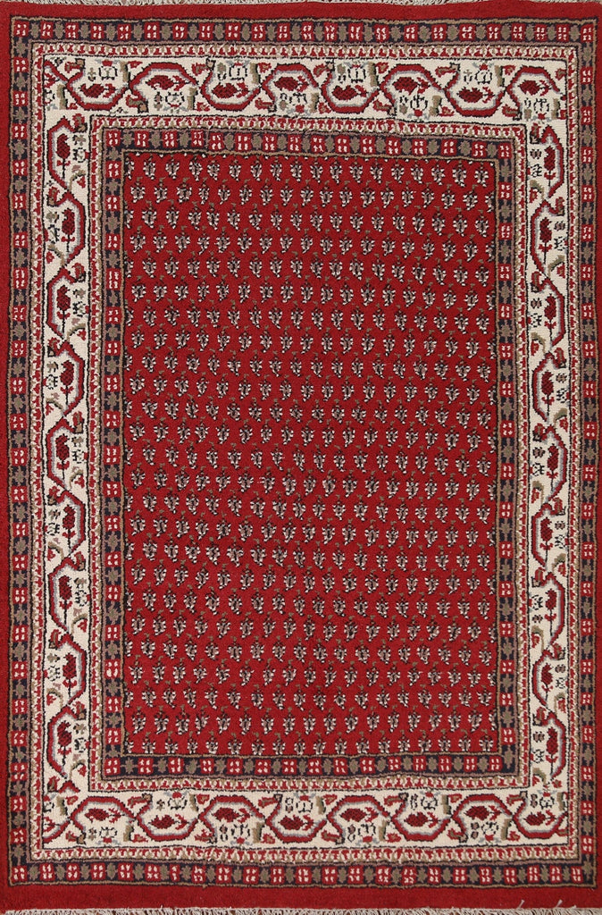 Red Wool Botemir Oriental Area Rug 6x8