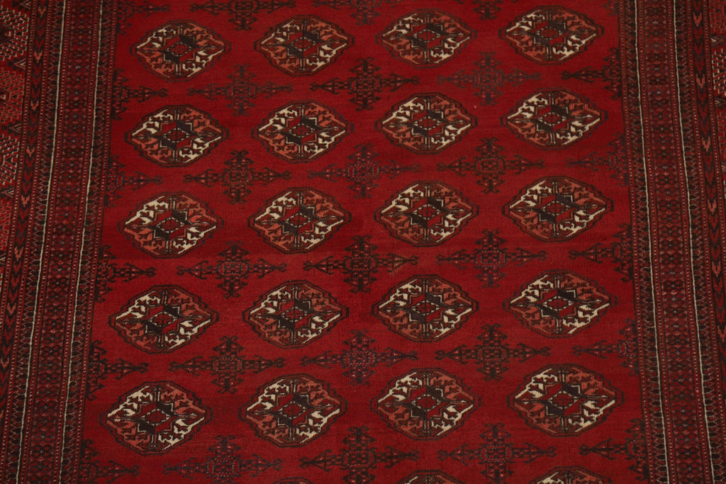 Wool Geometric Bokhara Oriental Area Rug 8x13