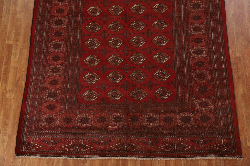 Wool Geometric Bokhara Oriental Area Rug 8x13